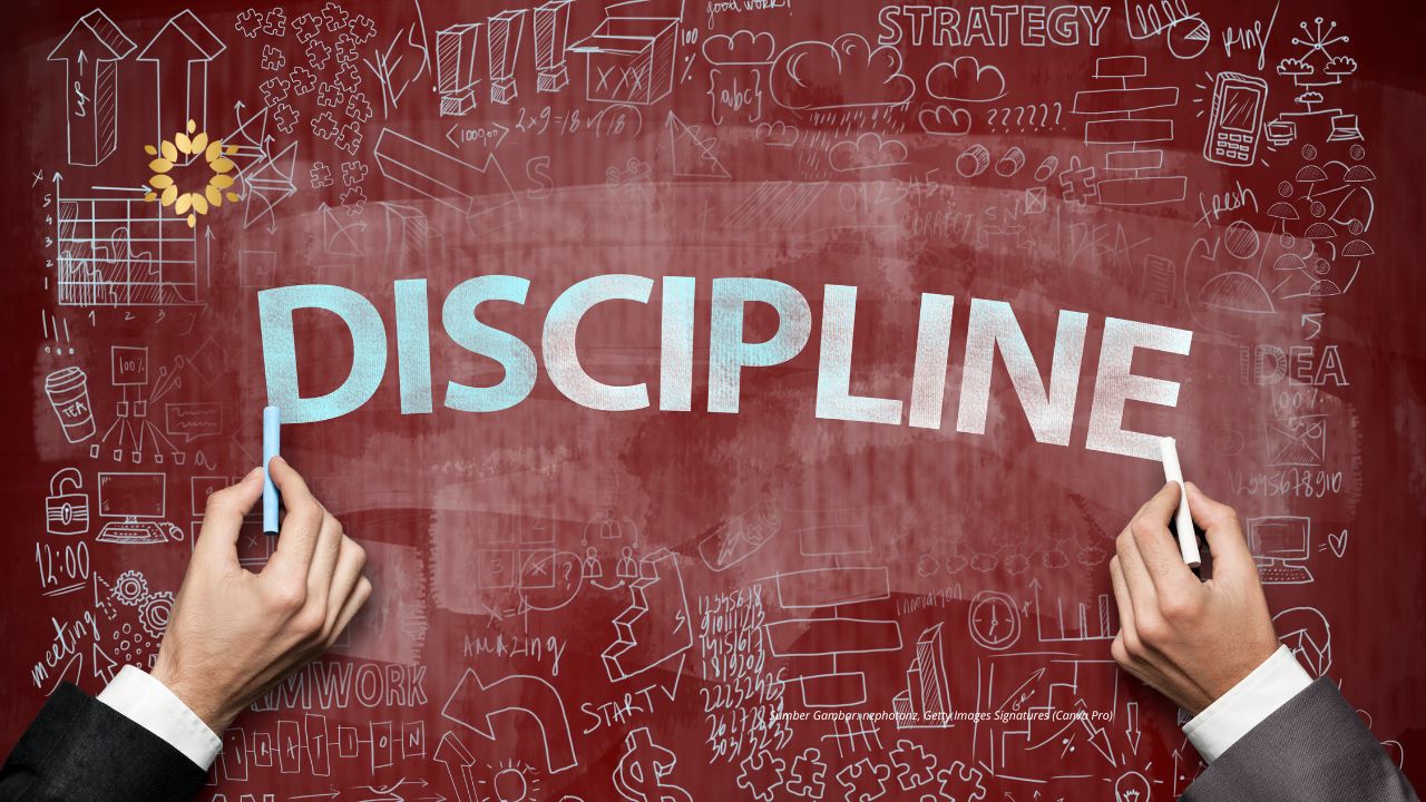 Disiplin
