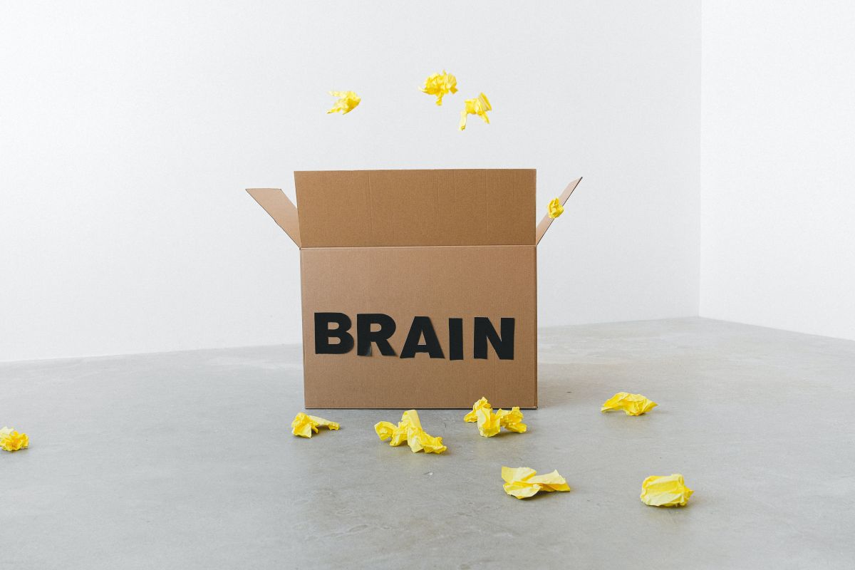 Cara Meningkatkan Brain Power dengan Cepat yang Jarang Diketahui